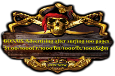 Traffic Pirate Hits