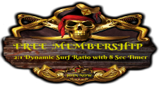 Traffic Pirate Hits