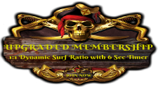 Traffic Pirate Hits
